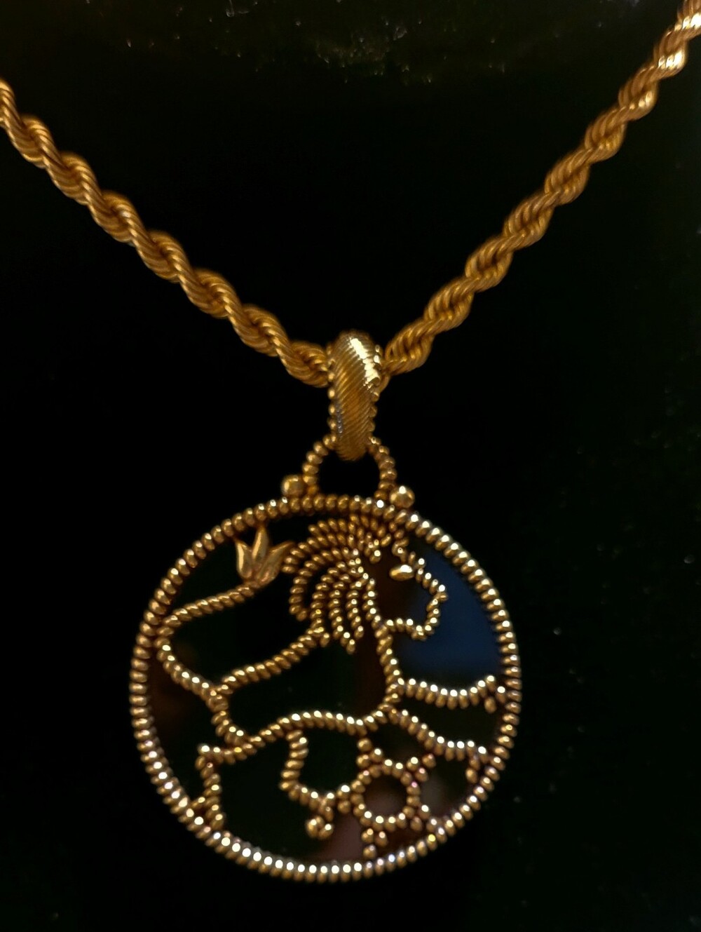 Judith Ripka Leo Zodiac Enhancer Pendant 14K Gold  Clad Black Onyx RARE Find
